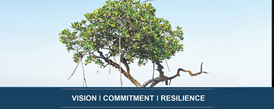 Annual Report 2024-2025